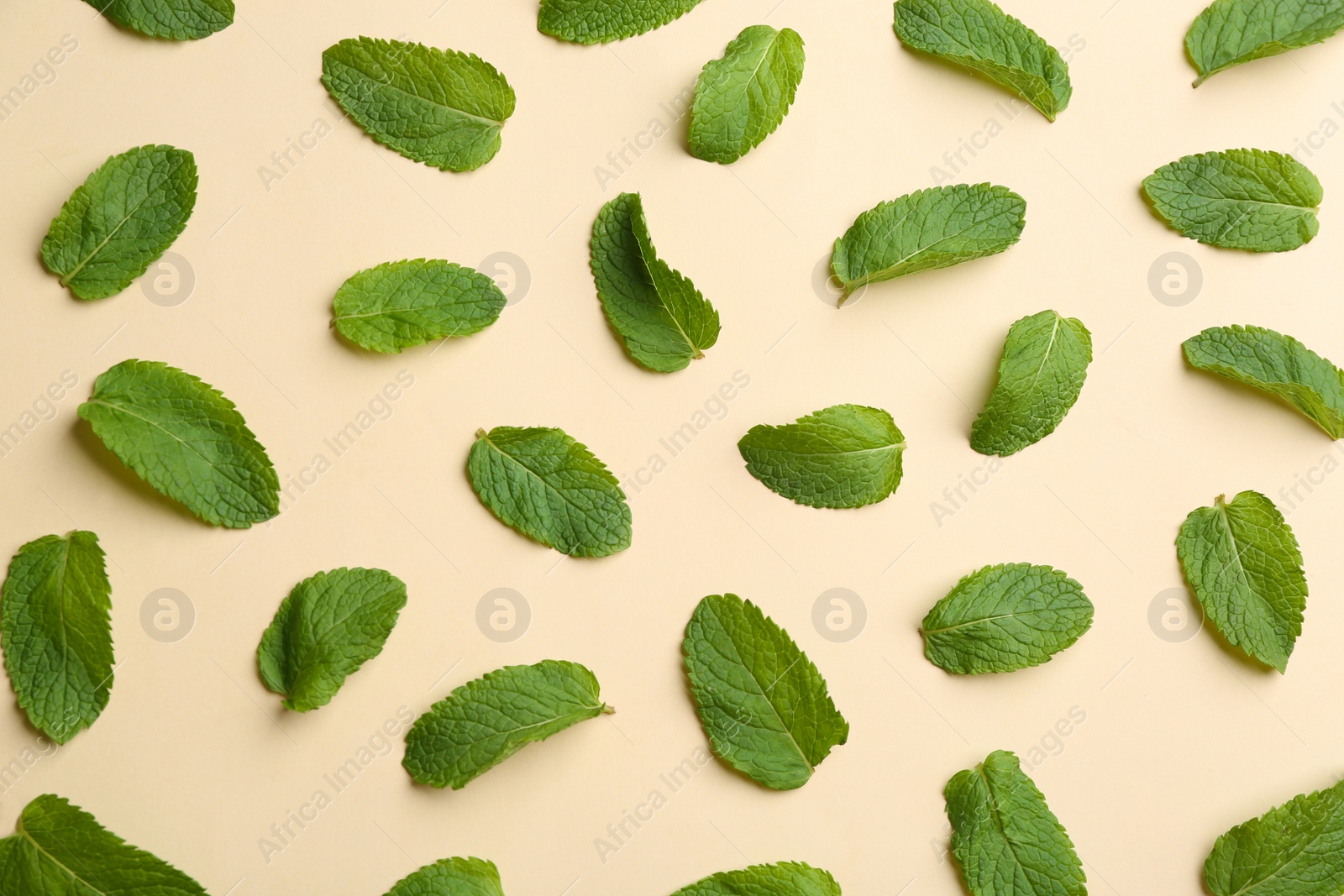 Photo of Fresh mint on beige background, flat lay