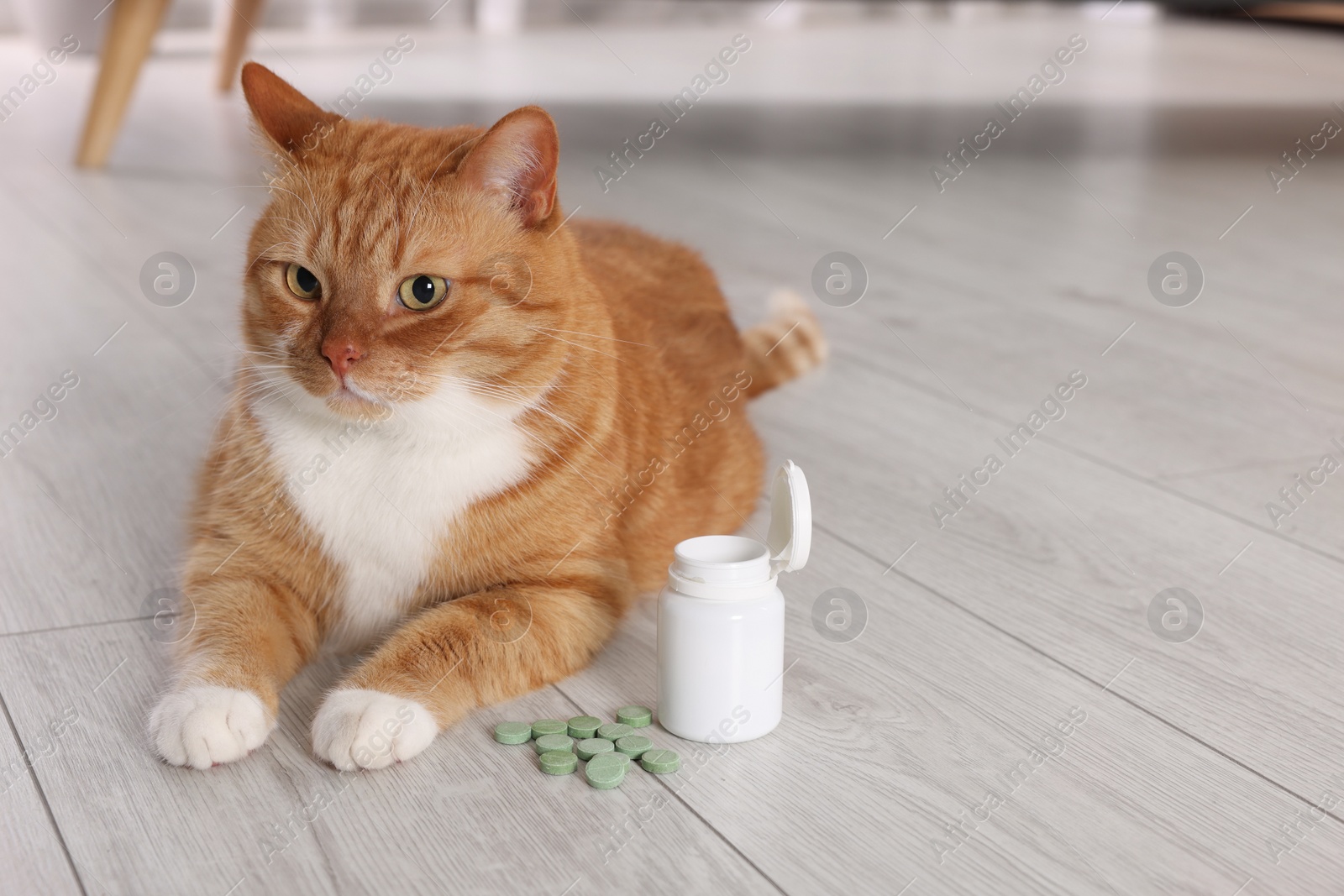 Photo of Cute ginger cat and vitamin pills indoors. Space for text