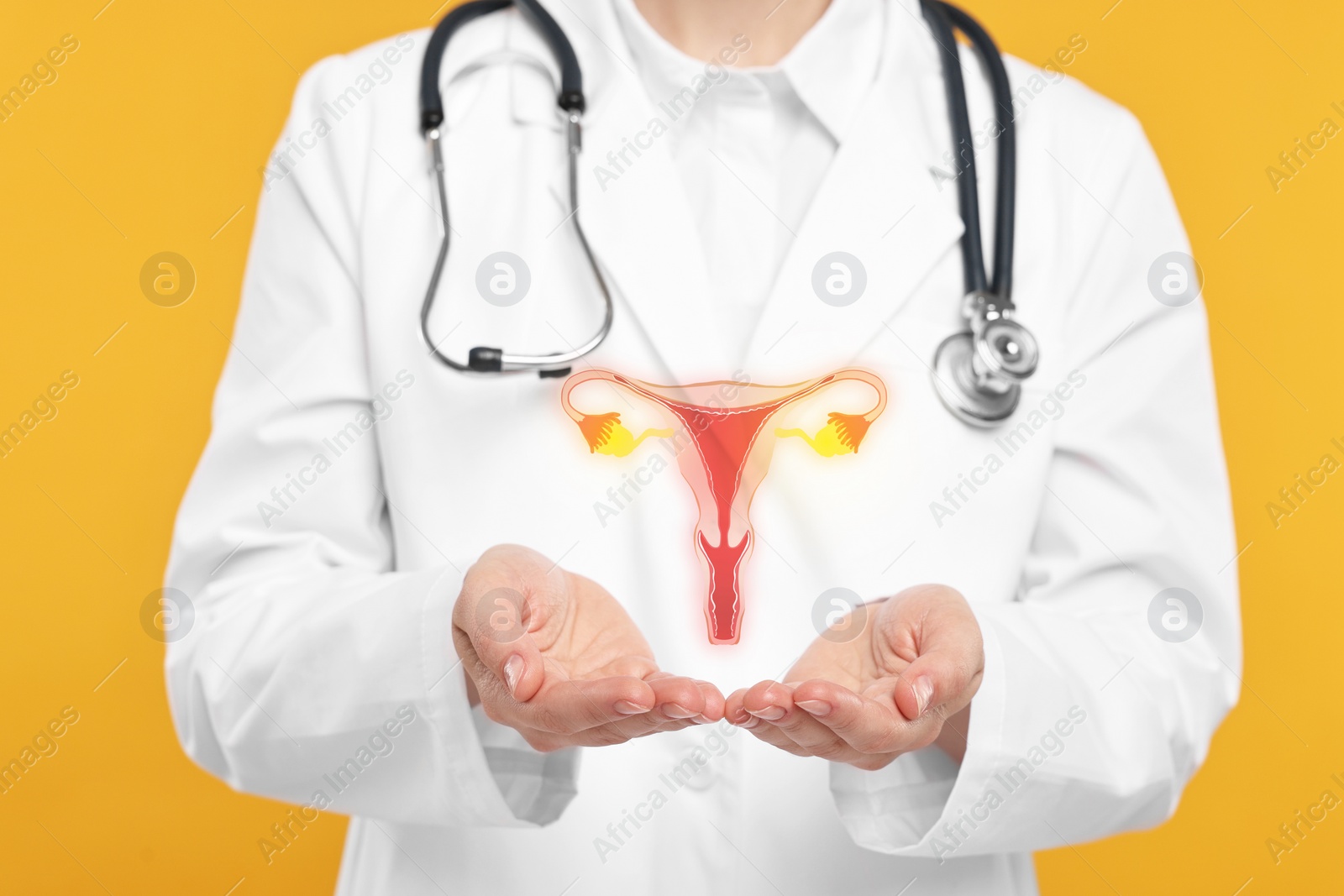 Image of Doctor and illustration of female reproductive system on orange background, closeup