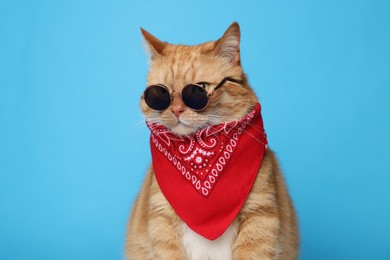 Cute ginger cat with bandana and sunglasses on light blue background. Adorable pet