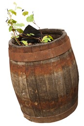 Image of One wooden barrel with grape plant isolated on white