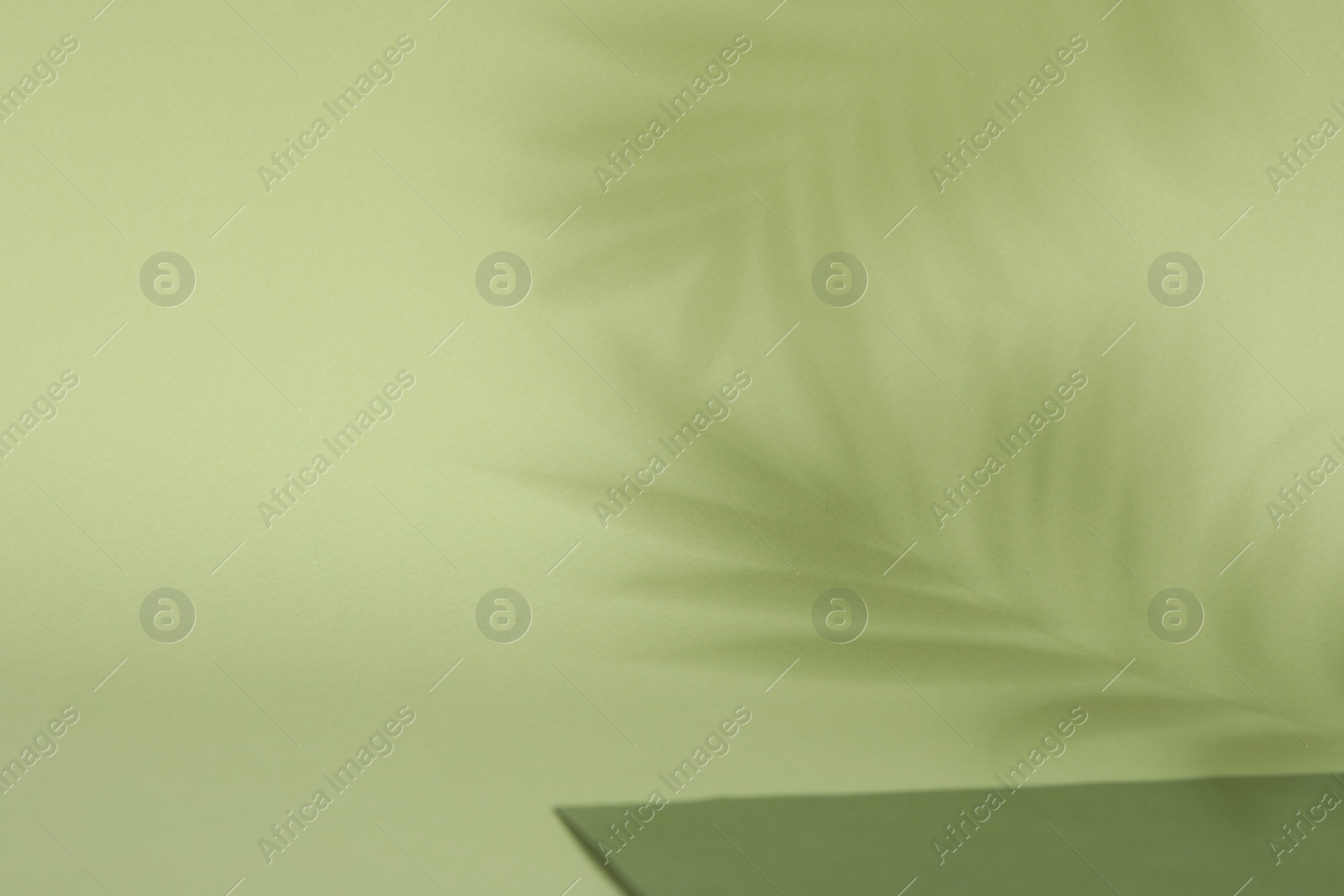 Photo of Presentation of product. Shadows on light green background. Space for text