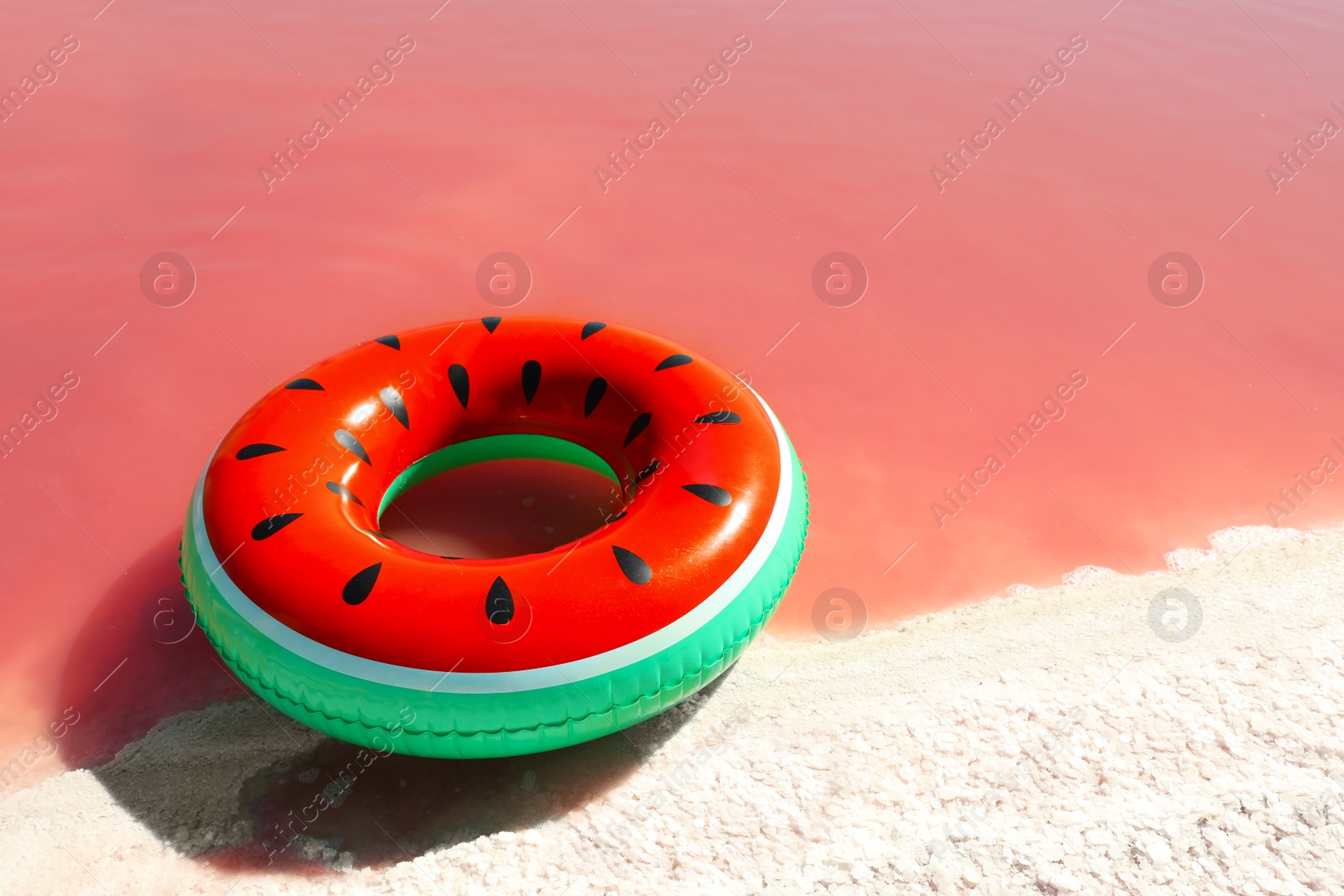 Photo of Inflatable ring at pink lake coast on sunny day