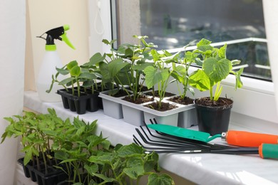 Photo of Seedlings growing in plastic containers with soil and gardening tools on windowsill indoors