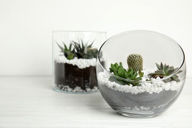 Photo of Glass florarium with different succulents on wooden table against white background, space for text