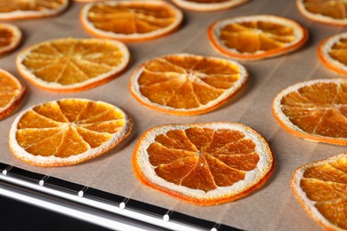 Photo of Many dry orange slices on parchment paper, closeup