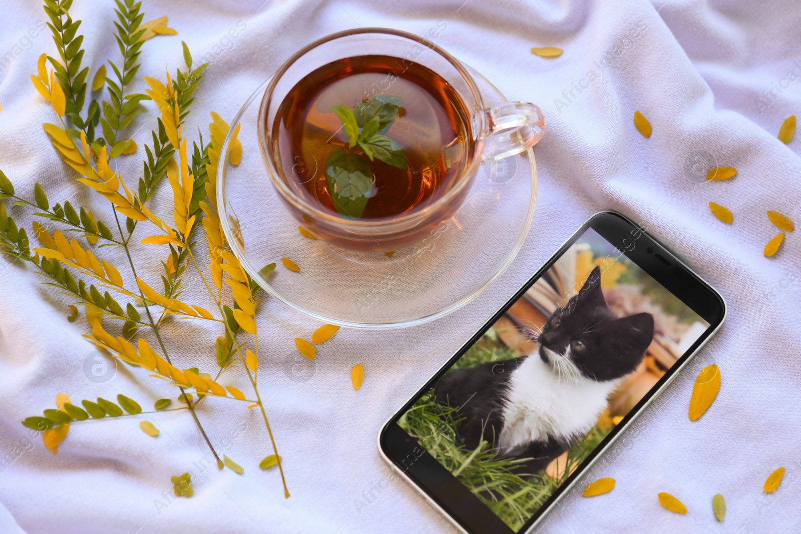 Photo of Cup of aromatic herb tea, smartphone and dry autumn leaves on white cloth, flat lay