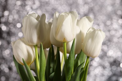 Beautiful white tulips against blurred background, closeup