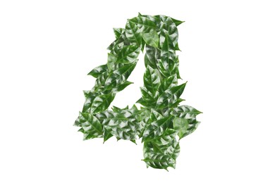 Image of Number 4 made of fresh green leaves on white background