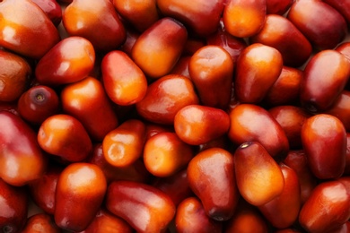 Image of Fresh ripe palm oil fruits as background, top view