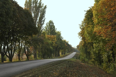 Photo of Beautiful view of empty asphalt highway and autumn trees