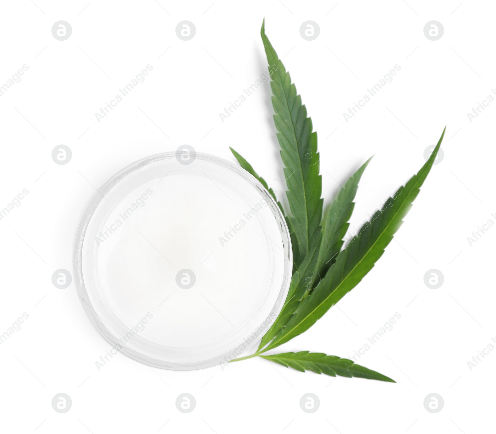 Photo of Jar of hemp cream and green leaves on white background, top view. Natural cosmetics