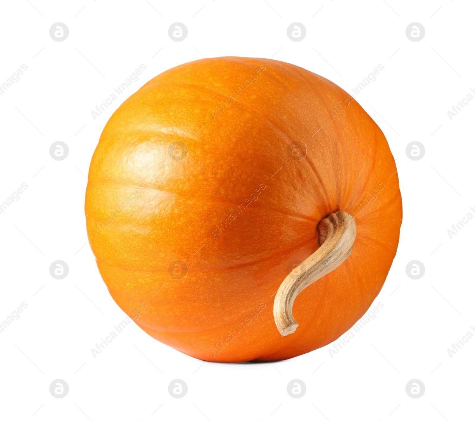 Photo of One fresh orange pumpkin isolated on white