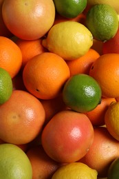 Photo of Different fresh citrus fruits as background, top view