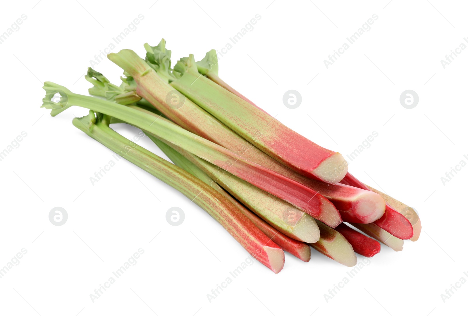 Photo of Fresh ripe rhubarb stalks isolated on white