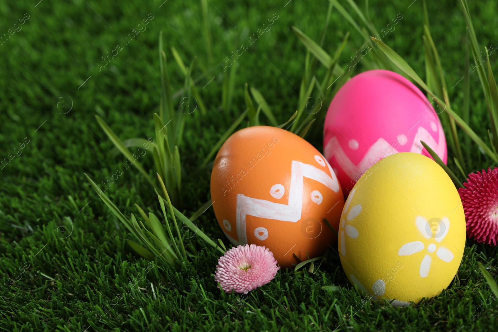 Photo of Colorful Easter eggs and daisy flowers in green grass, closeup