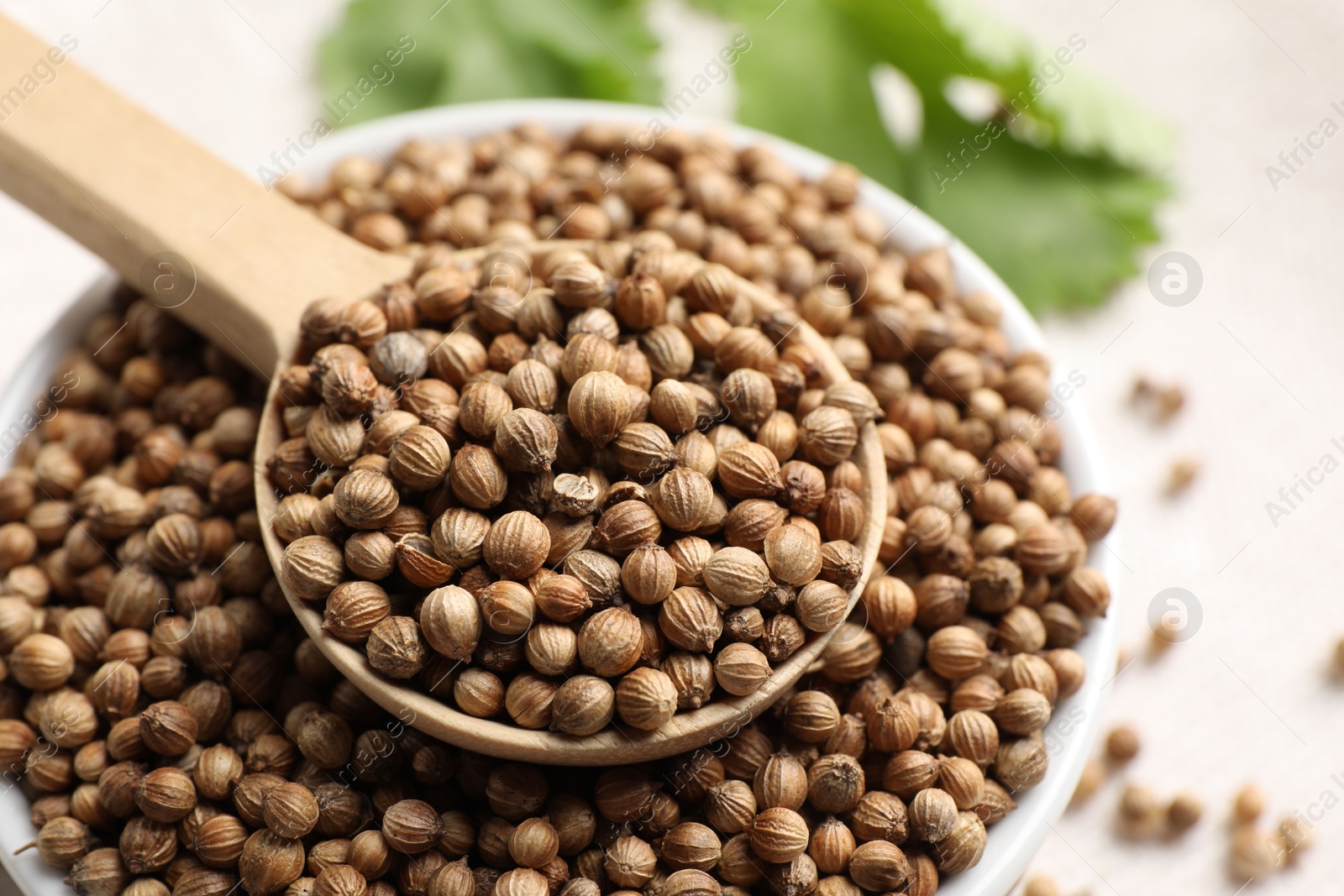 Photo of Dried coriander seeds in bowl and spoon on light table, closeup