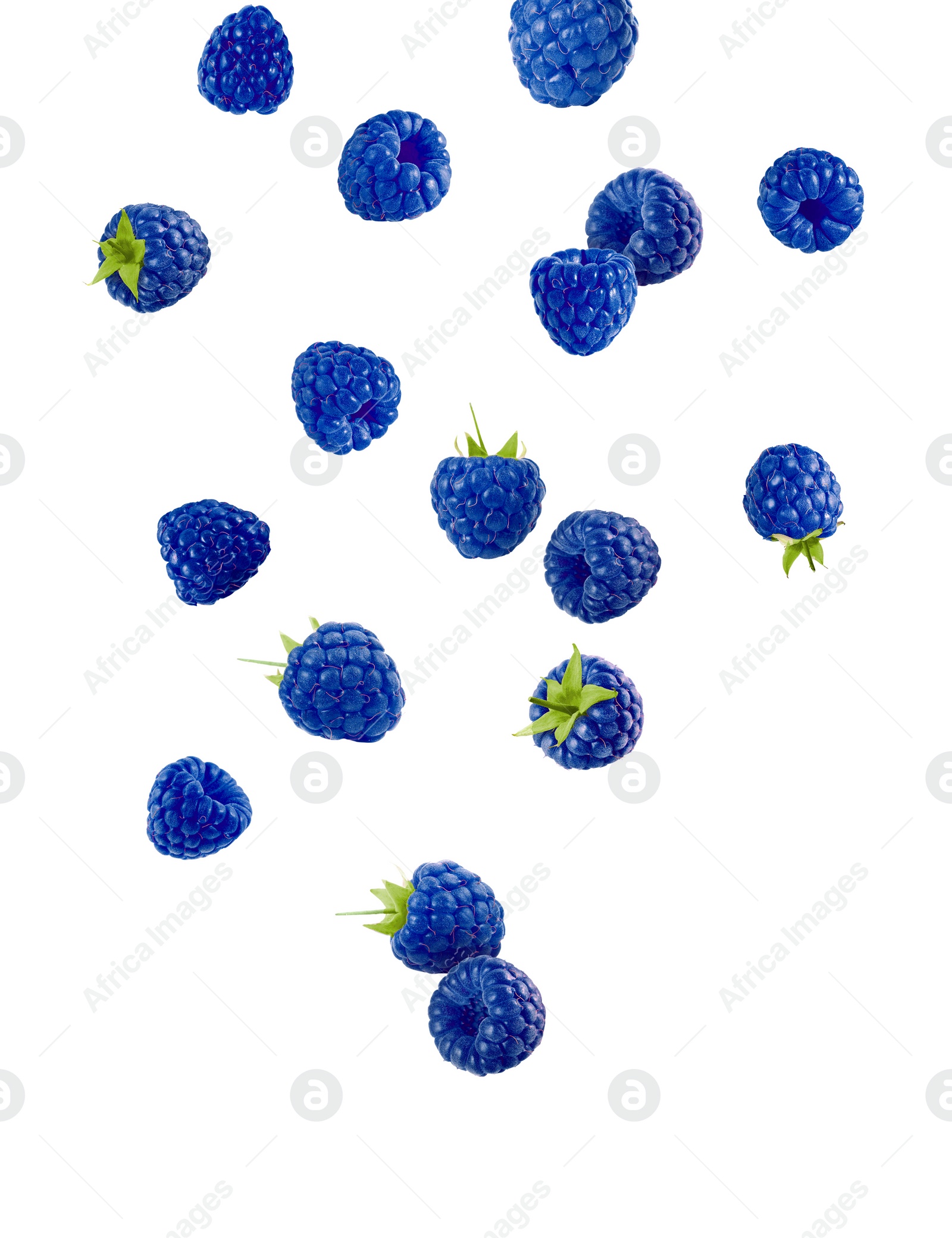 Image of Many fresh blue raspberries falling on white background