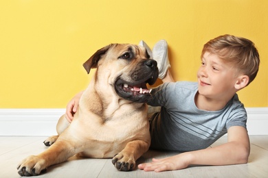 Photo of Cute little child with his dog near color wall