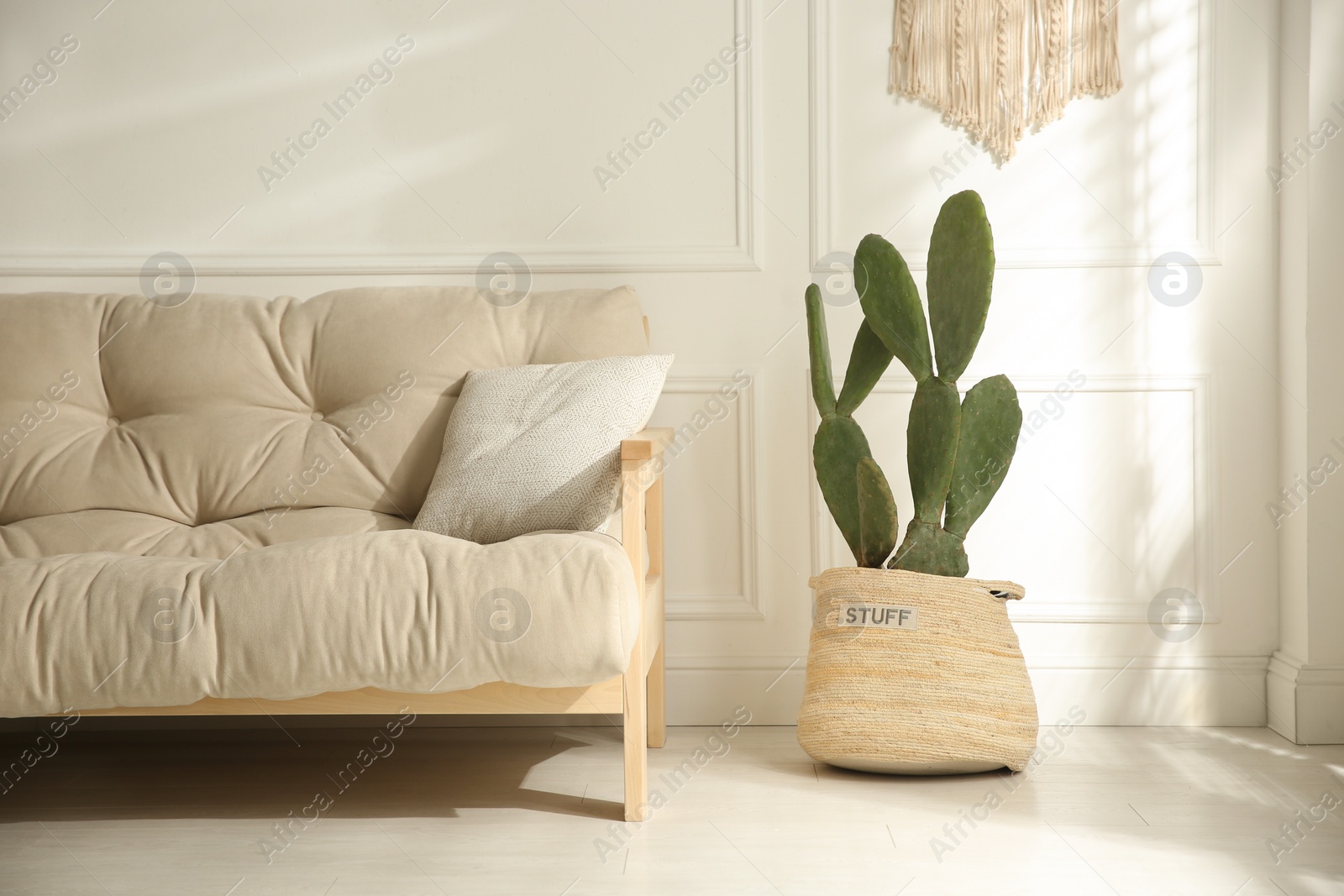 Photo of Stylish room interior with beautiful potted cactus