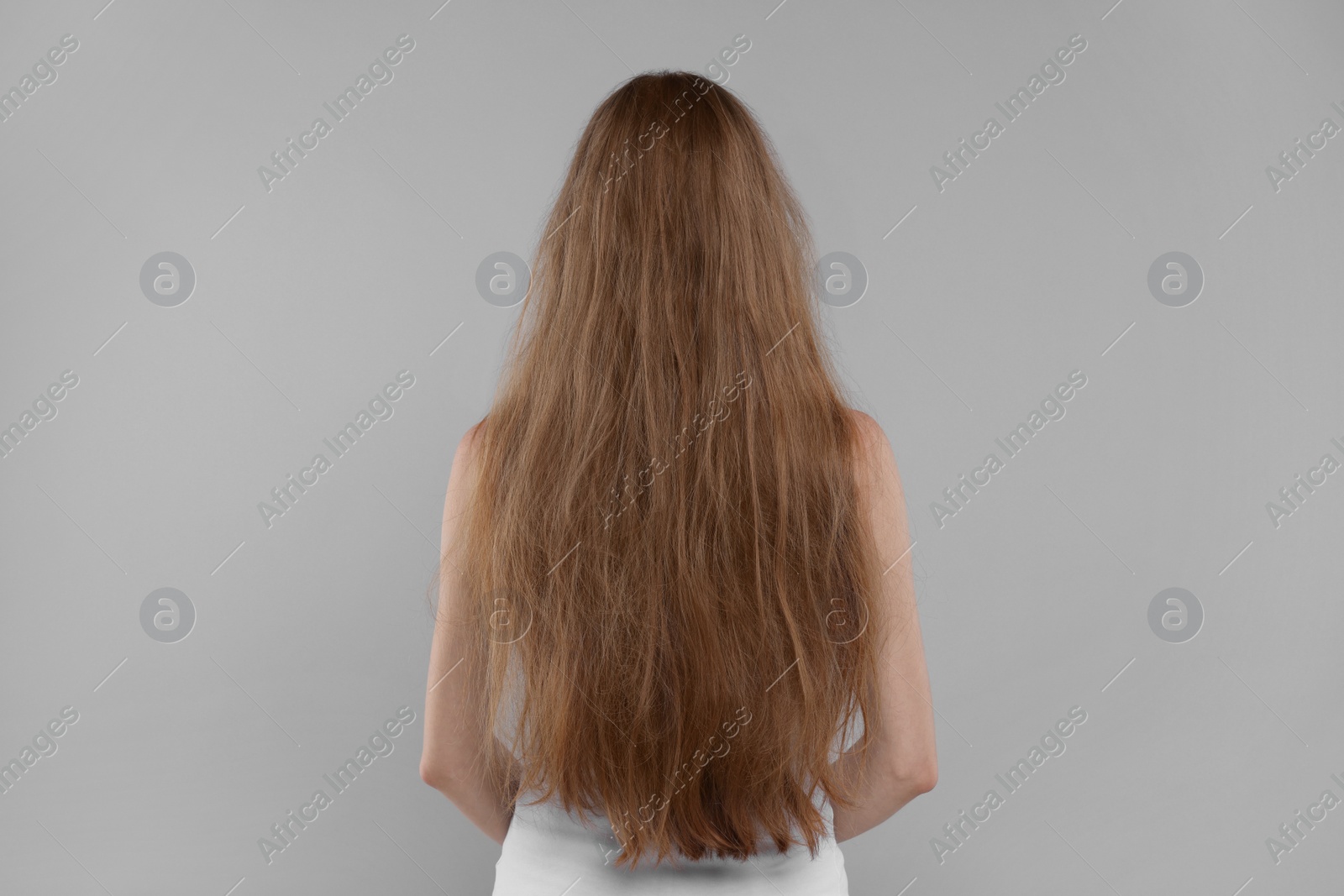Photo of Woman with damaged hair on light grey background, back view