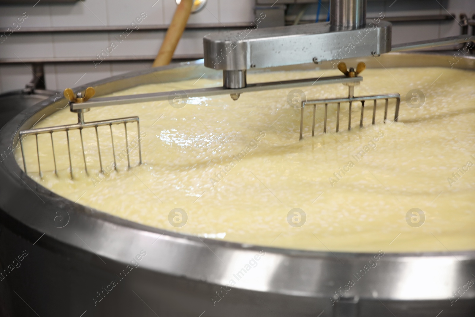 Photo of Curd and whey in tank at cheese factory