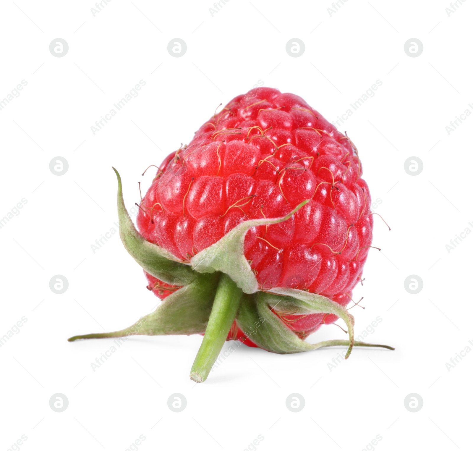 Photo of One tasty ripe raspberry isolated on white