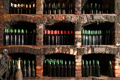 Photo of Many bottles of different alcohol drinks on shelves in cellar