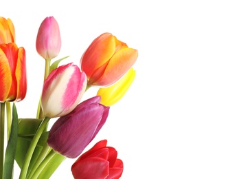 Photo of Beautiful bright tulips on white background. Spring flowers