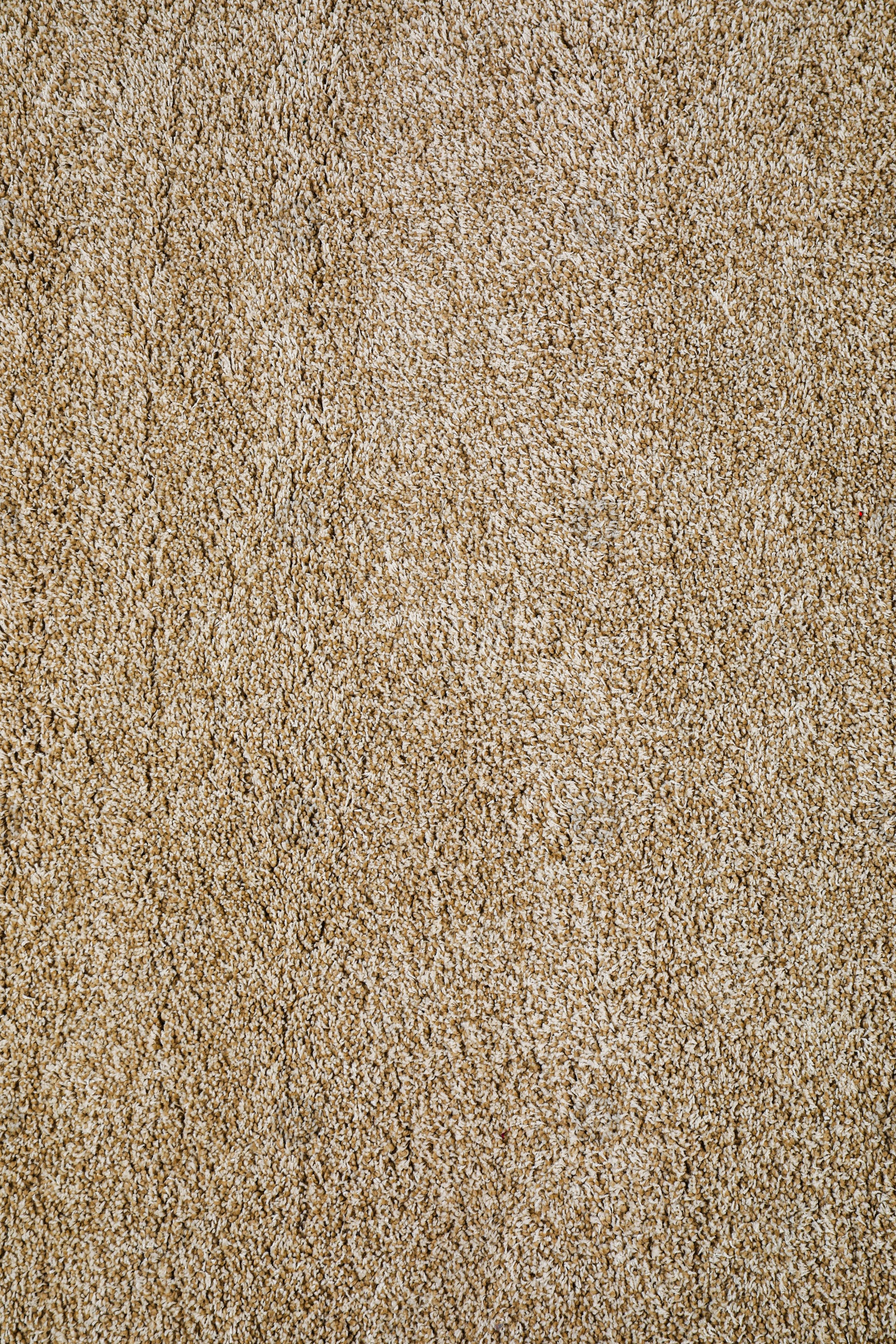 Photo of Stylish soft beige carpet as background, top view