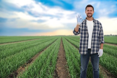 Farmer showing Ok gesture in field. Harvesting season