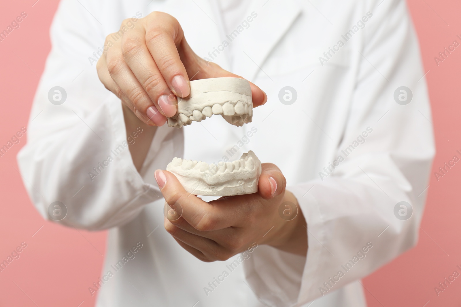 Photo of Doctor holding dental model with jaws on pink background, selective focus. Cast of teeth