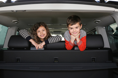 Photo of Little children in modern car. Family trip