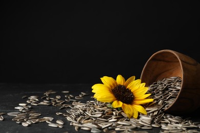 Photo of Bright sunflower and raw seeds on grey table. Space for text