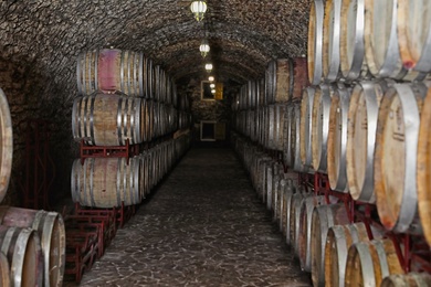 Wine cellar interior with large wooden barrels