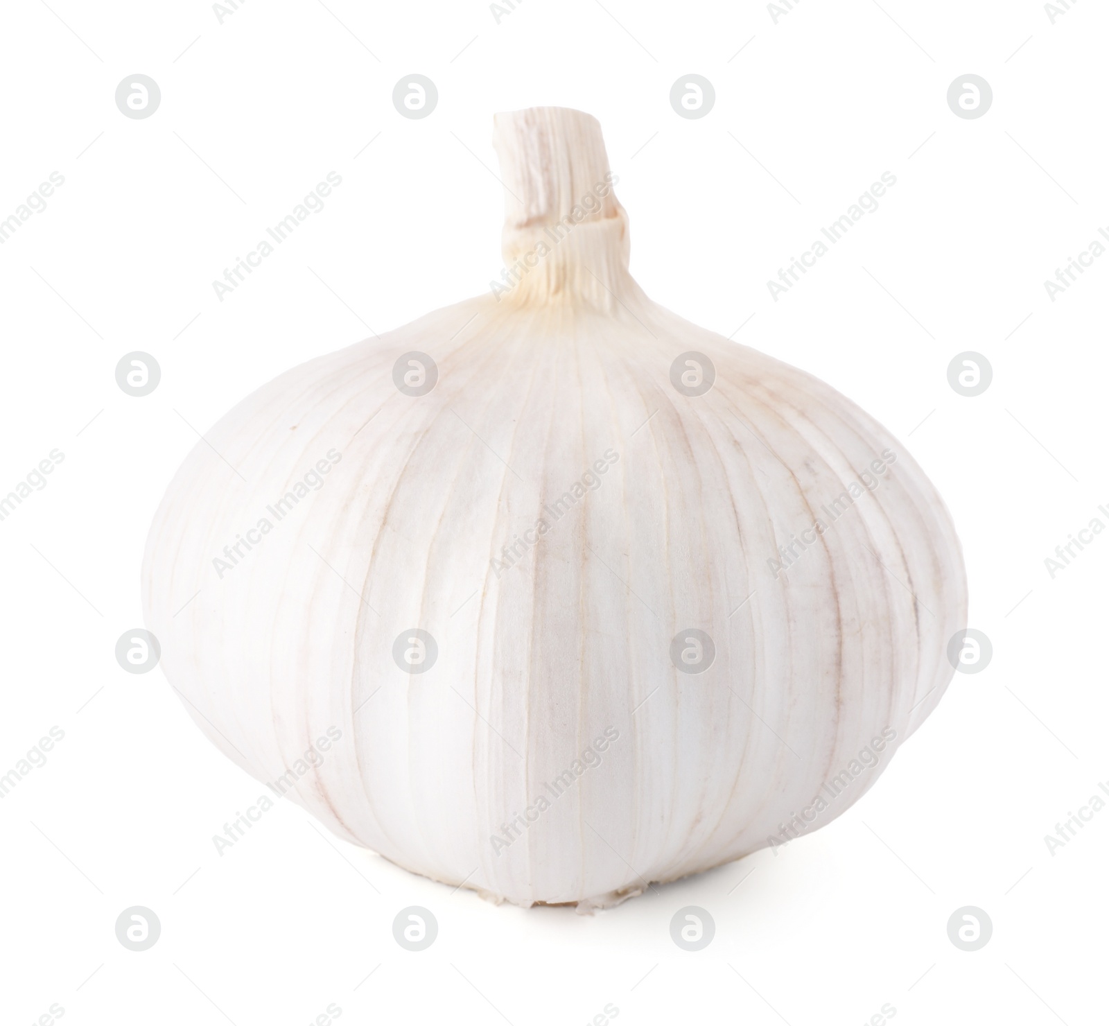 Photo of Head of fresh garlic isolated on white