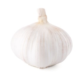 Photo of Head of fresh garlic isolated on white