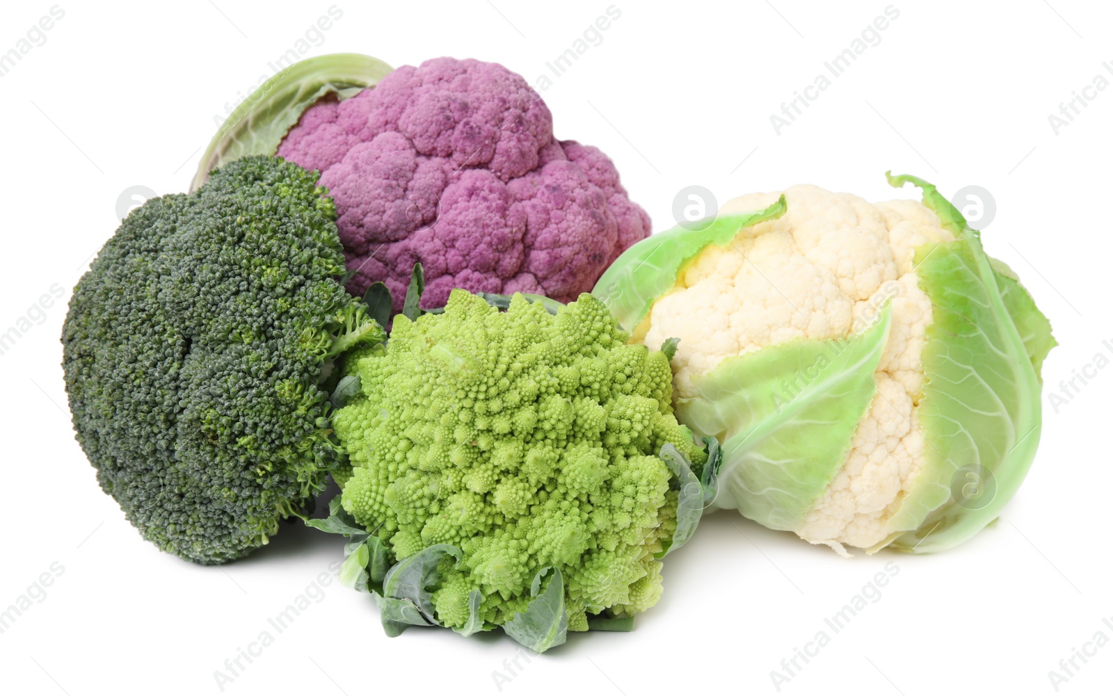 Photo of Different fresh raw cabbages on white background