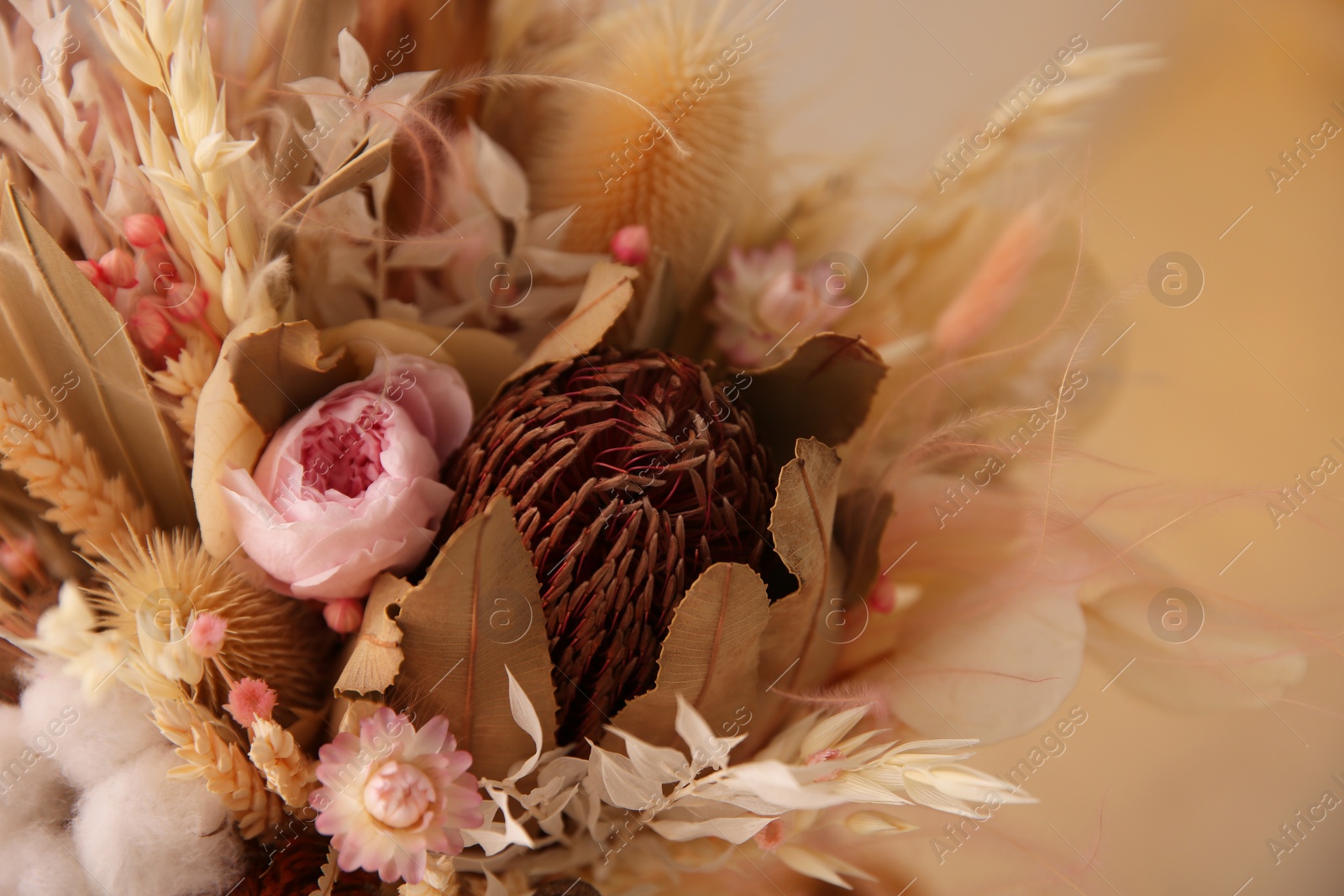 Photo of Bouquet of dry flowers and leaves on blurred background, closeup