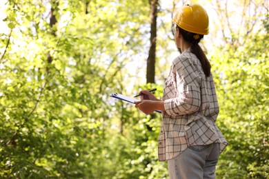 Forester with clipboard examining plants in forest, space for text