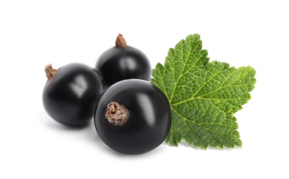 Ripe blackcurrants and leaf isolated on white