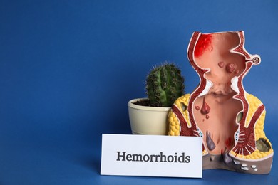Model of unhealthy lower rectum, cactus and card with word Hemorrhoids on blue background. Space for text