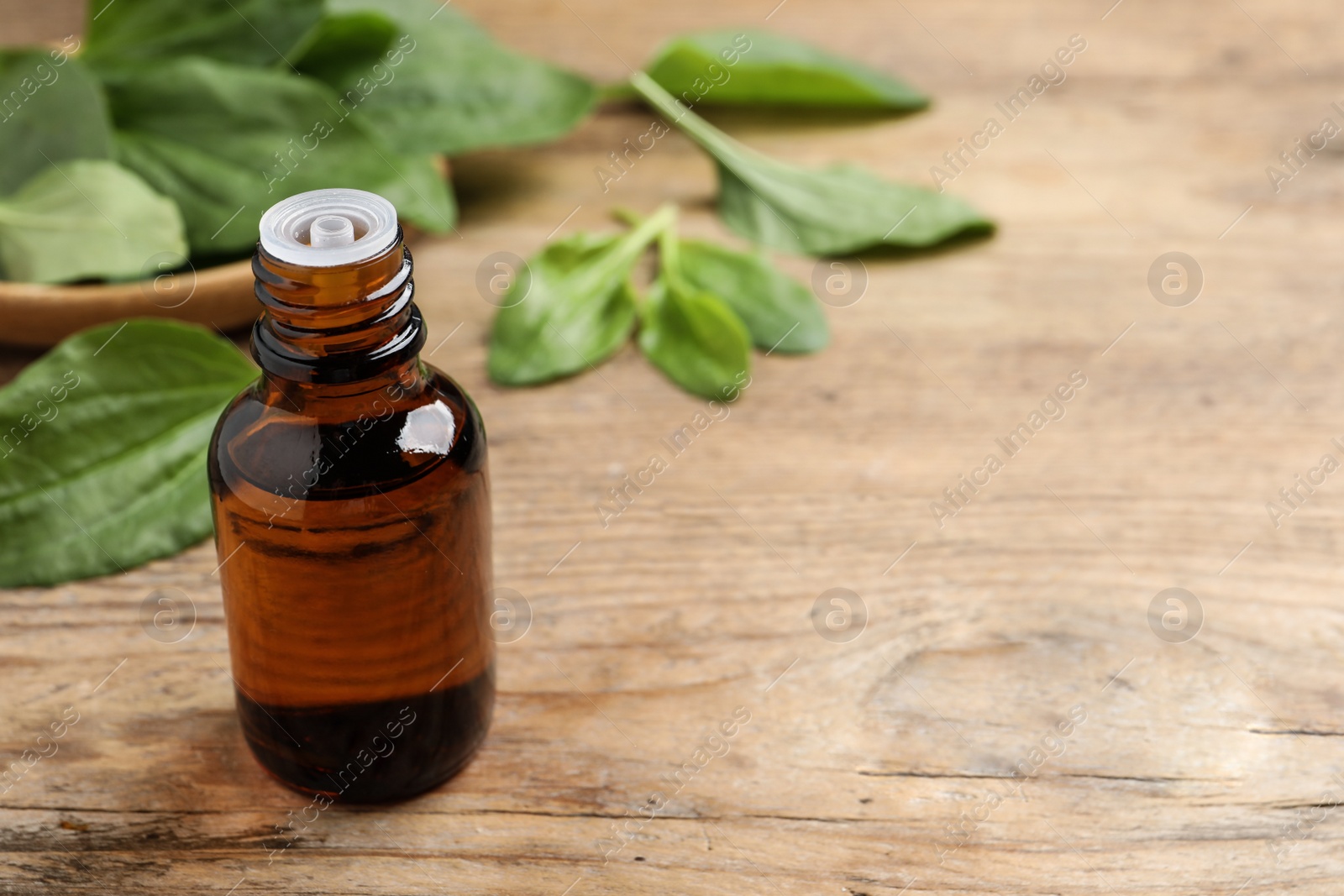 Photo of Bottle of broadleaf plantain extract and leaves on wooden table, space for text