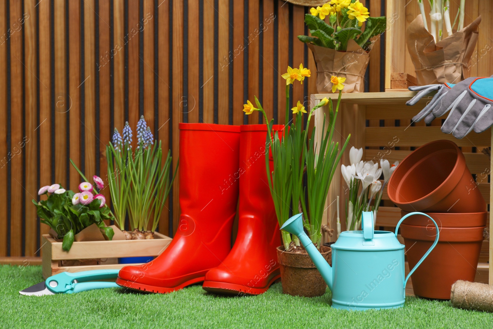 Photo of Composition with different gardening tools on artificial grass at wooden wall