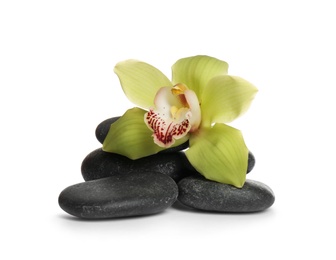 Spa stones with beautiful orchid flower on white background