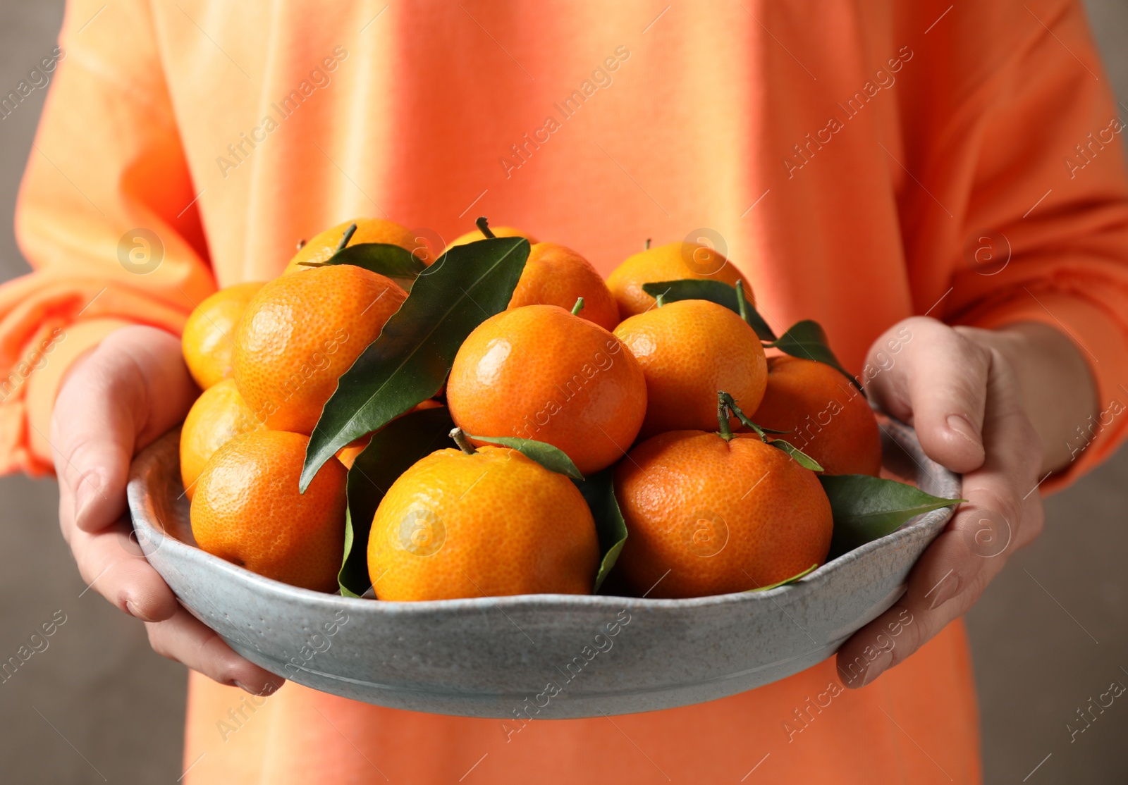 Photo of Woman holding bowl of tangerines, closeup. Juicy citrus fruit