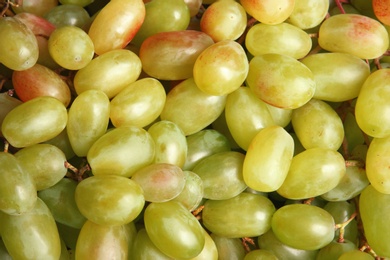 Photo of Fresh ripe juicy grapes as background, closeup