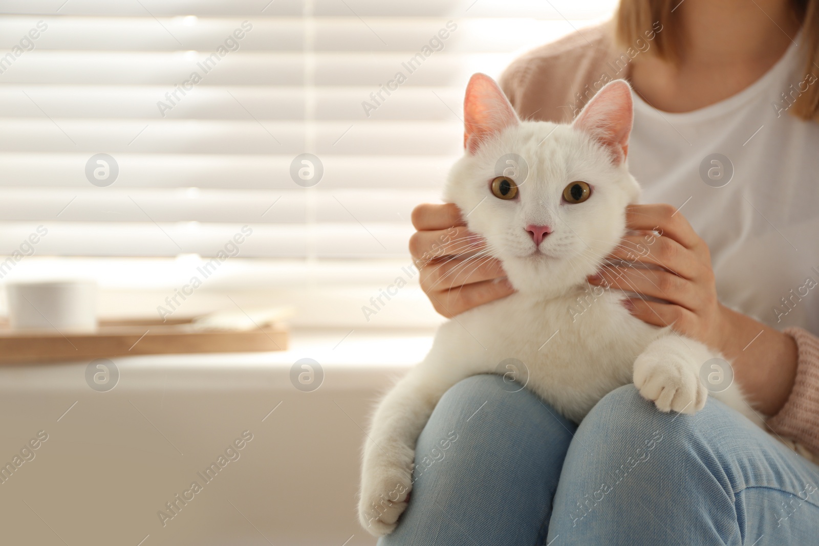 Photo of Young woman with her beautiful white cat at home, space for text. Fluffy pet