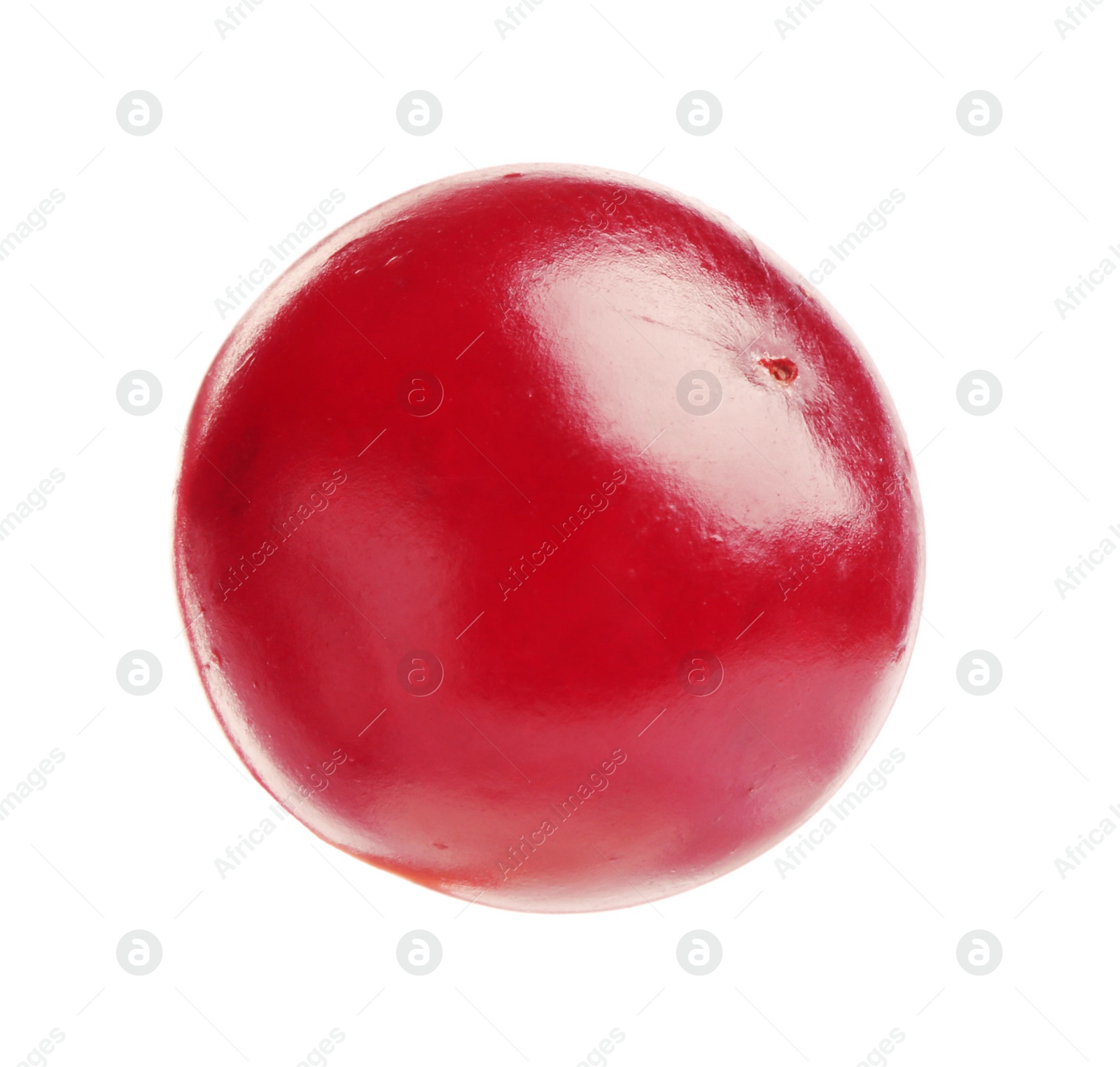 Photo of One fresh ripe cranberry isolated on white