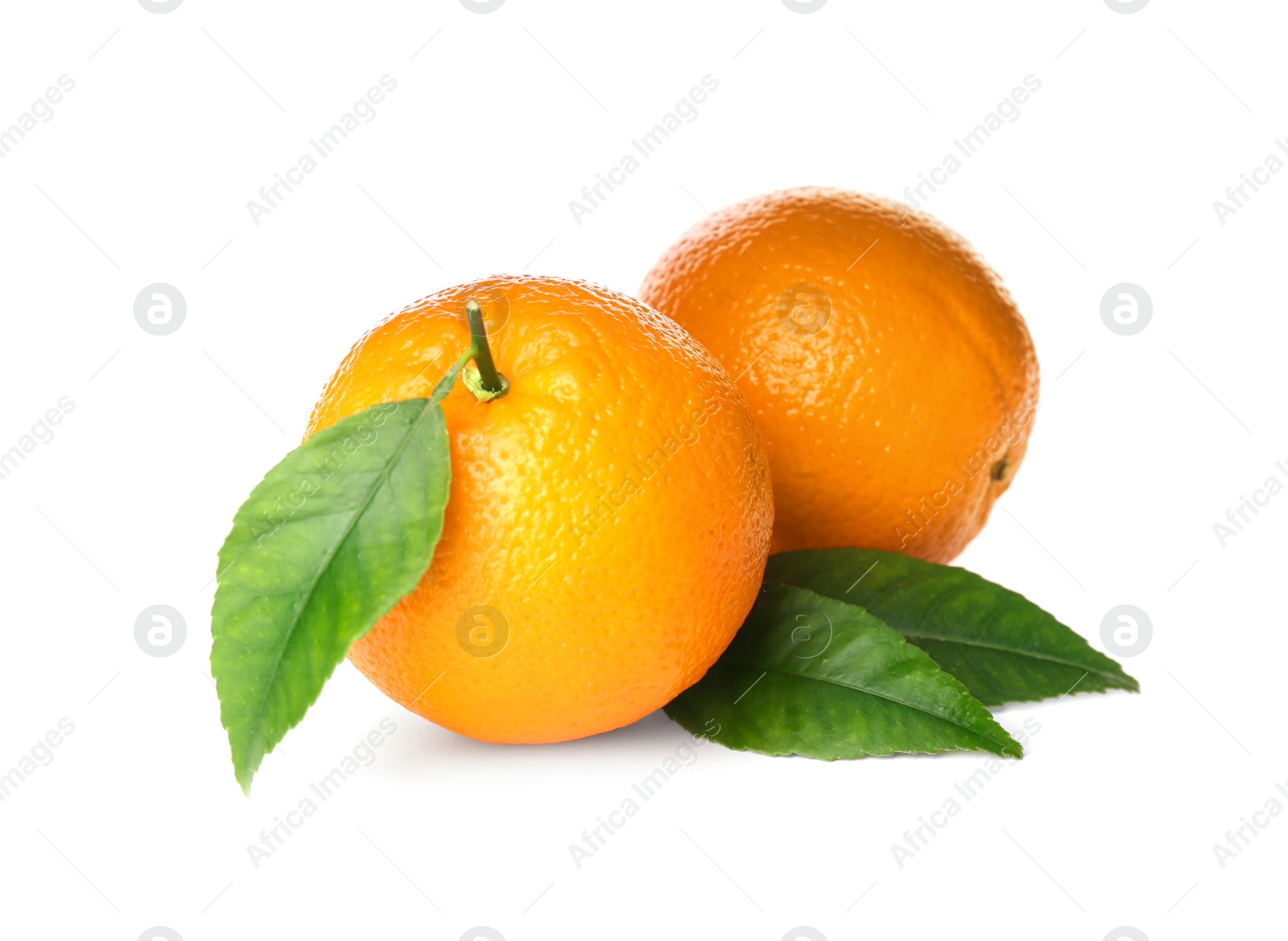 Photo of Fresh ripe oranges with green leaves on white background